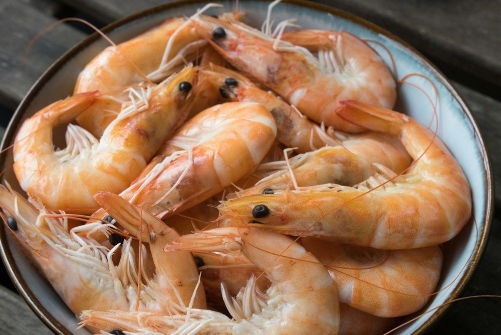 Fresh shrimp